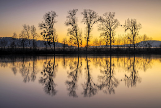 1752415 (a): :4144x2762